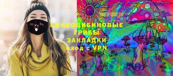дмт Алексин