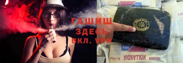 стаф Алзамай