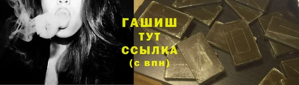 стаф Алзамай