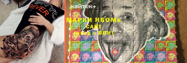 стаф Алзамай