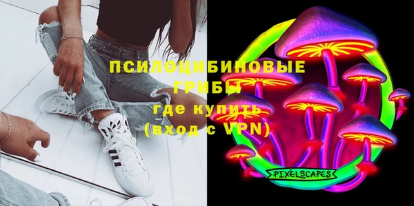 стаф Алзамай