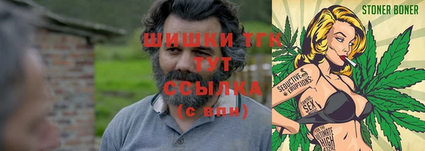 стаф Алзамай